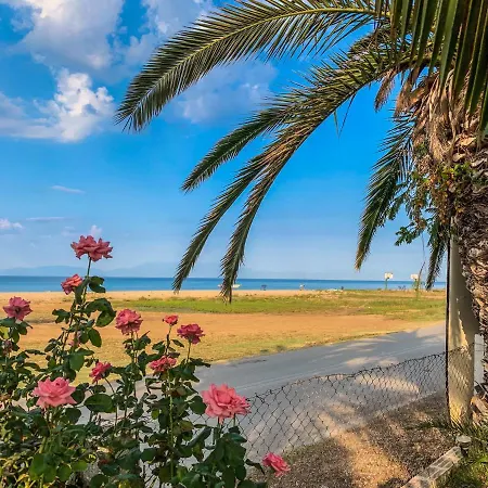 Galinis' Sea Front Apartment *